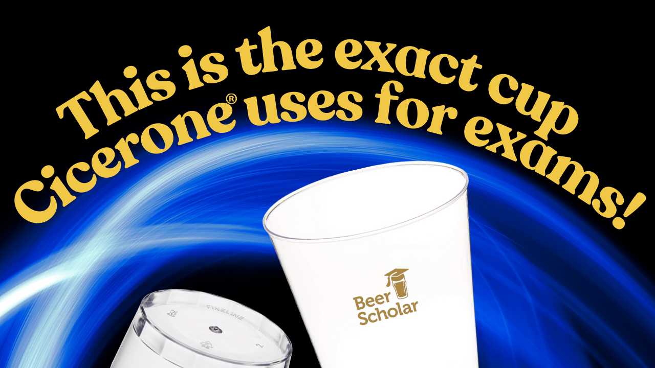 Cicerone tasting exam cups